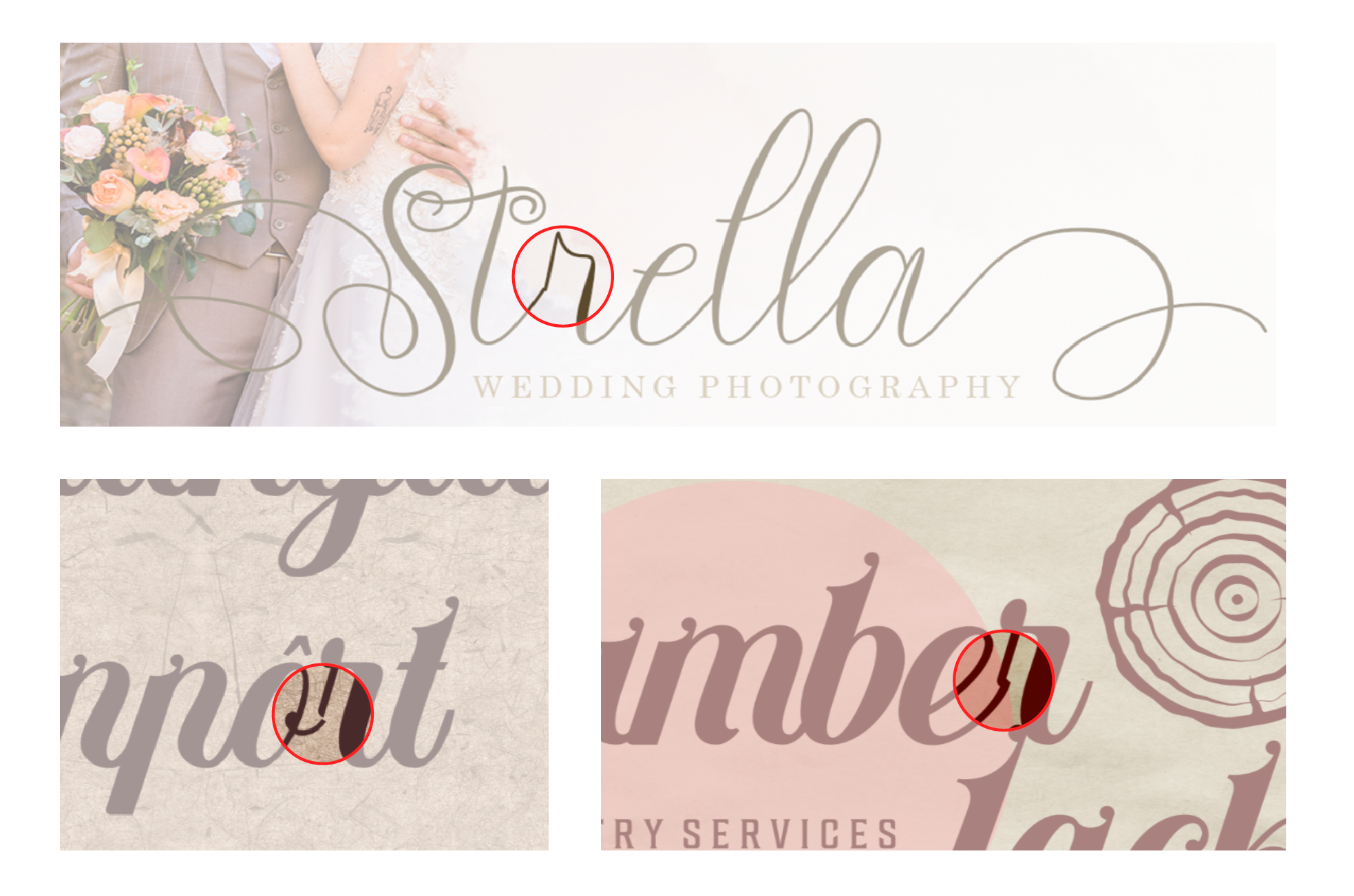 Script_Font_Article-02.png