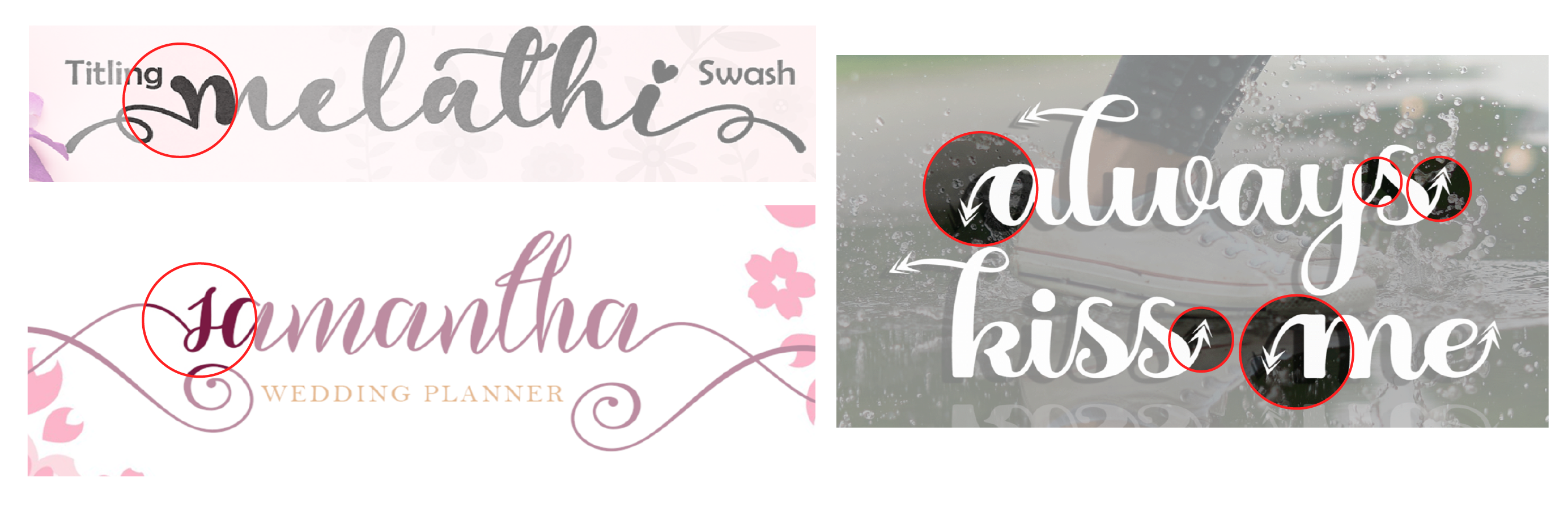 Script_Font_Article-04.png